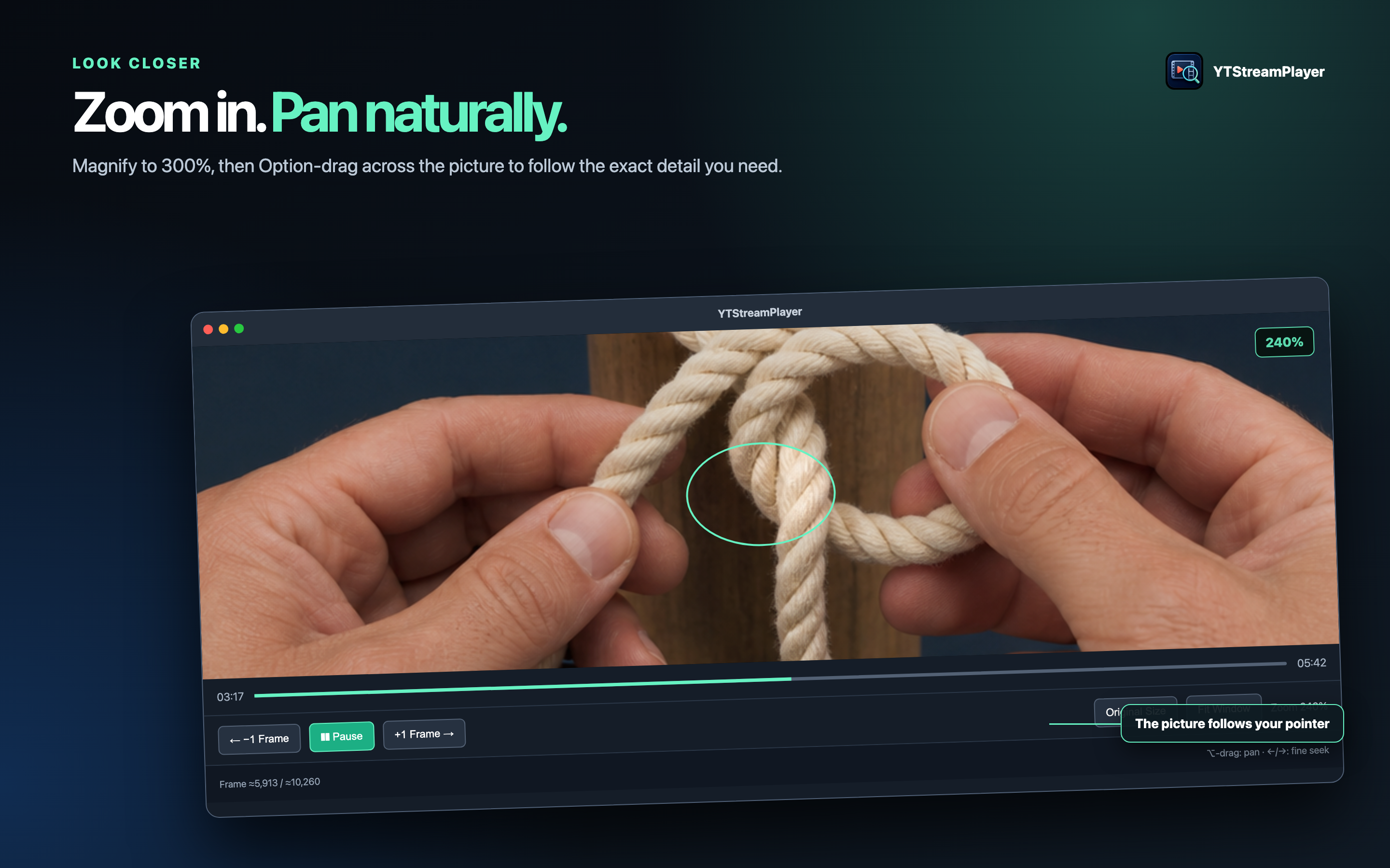 Zoom In and Pan Naturally - enlarged instructional video